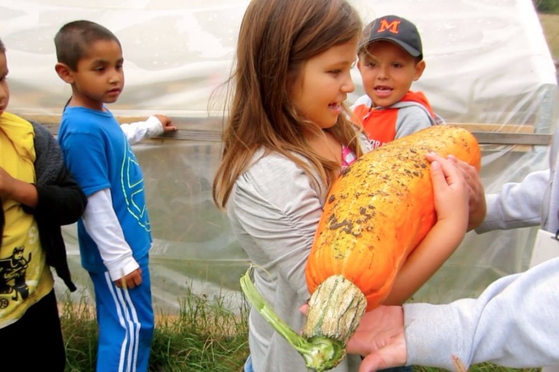 Spendenaktion von White Earth Land Recovery Project Tractor Fund Help