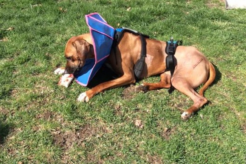 painting car va fredericksburg Fundraiser needs Carpenter Kimberly still : Kalaiah by painting car va fredericksburg Fundraiser needs Carpenter Kimberly still : Kalaiah by