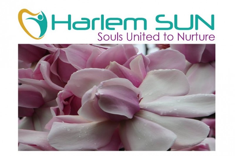 Harlem SUN Seed Fund photo