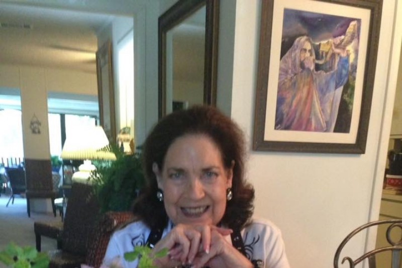 Fundraiser by Carol Cohen : It seems we lost