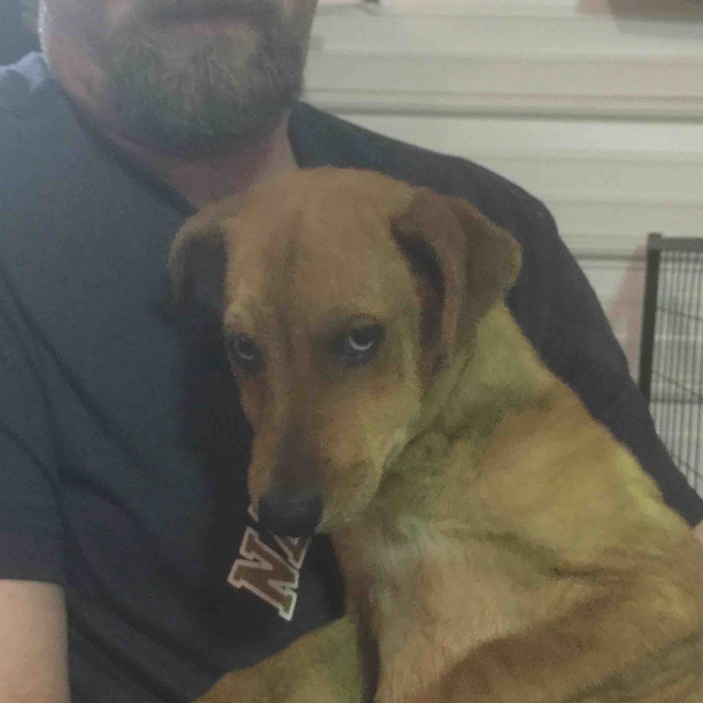 Fundraiser by Keith Benning Turtle Mountain Animal Rescue