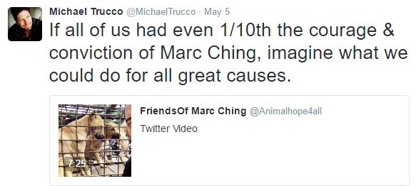 Fundraiser by Tammy Gagnon : Give Hope to Animals in Need!