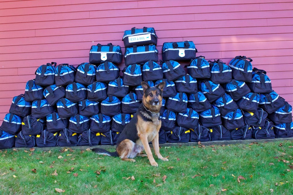Fundraiser by Harvard Dangerfield Boston K9 First Aid Kit Fundraiser!