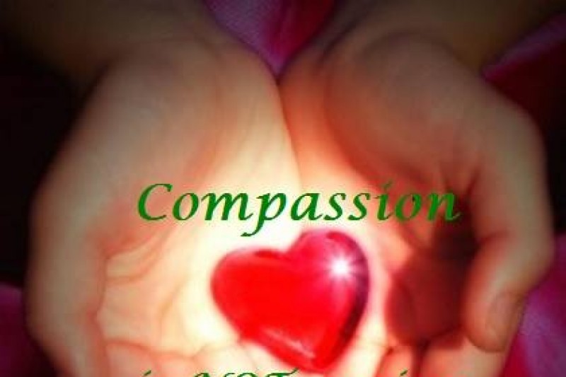 Help Margaux! Outrageous Fine! photo