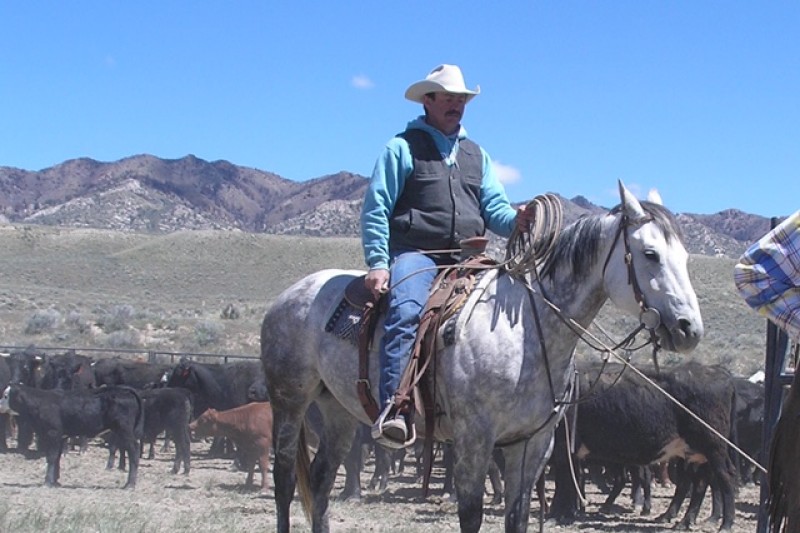 Fundraiser by Damon Mason Fatal Truck Crash, Casper Wyoming