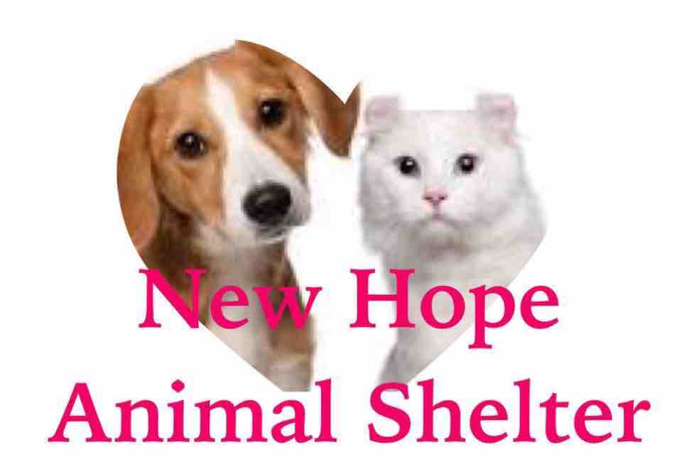 all new hope animal rescue