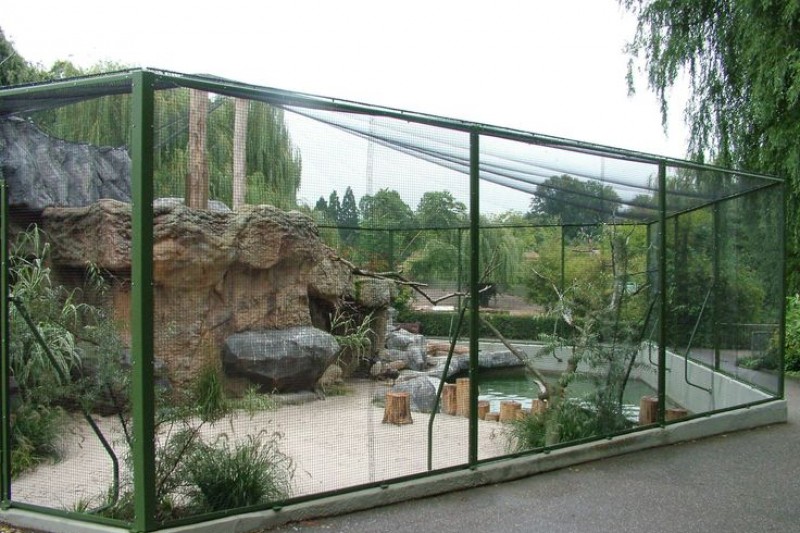 Fundraiser by World Bird Sanctuary PROJECT DREAM HOMES