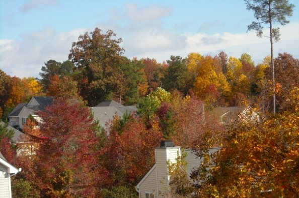 Caring for Karen photo