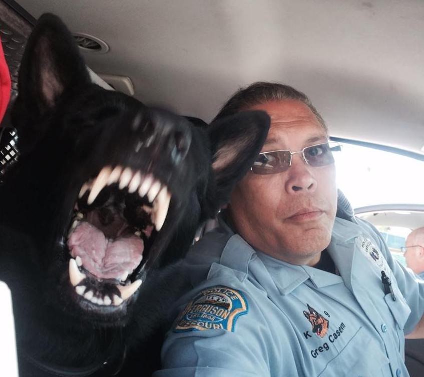 do police dogs have titanium teeth