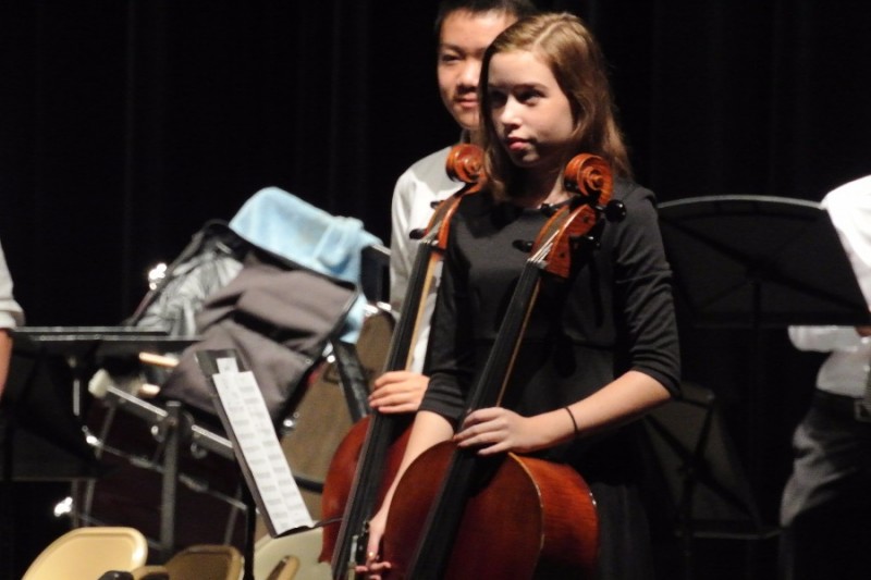 Fundraiser By Phil Wandrey : Kirsten's European Cello Tour