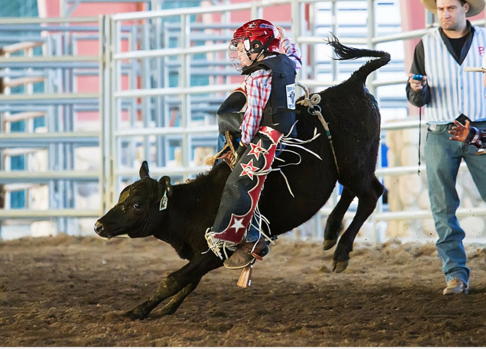 how-much-does-a-pbr-bull-rider-make