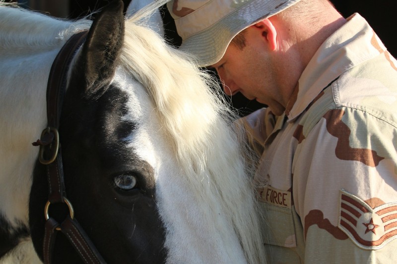 Veterans' Equine Assisted Therapy by Beth Hyman GoFundMe