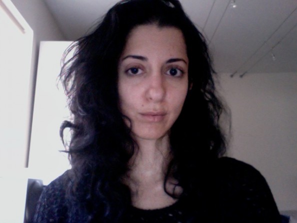 porochista khakpour lyme disease porochista khakpour lyme disease