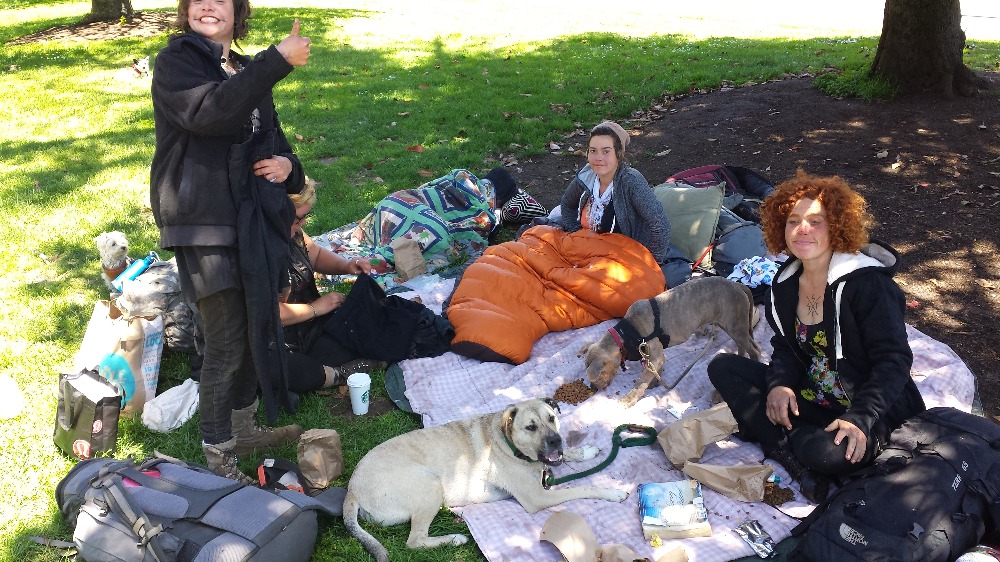 Fundraiser by Carlie Leduc Homeless Youth & their Pets