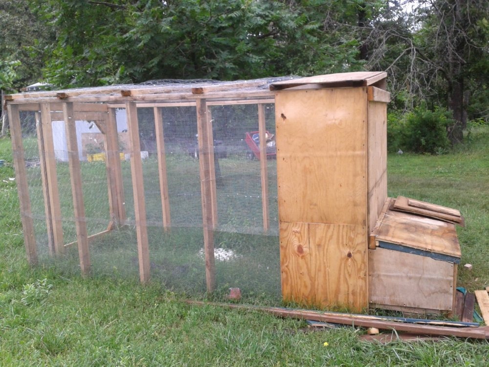  money of myself i used the money to buy lumber to build a chicken coop