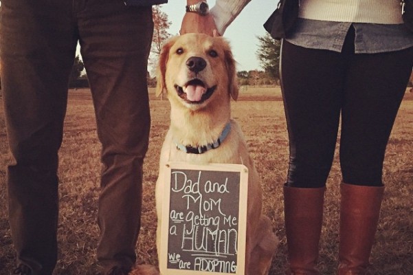 Baby Van Matre's Journey Home photo