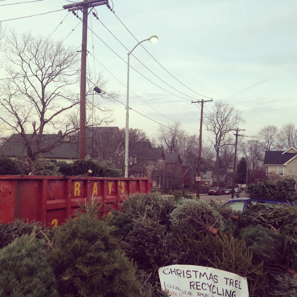 fundraiser by renee sweany christmas tree recycling in indy fundraiser by renee sweany christmas tree recycling in indy