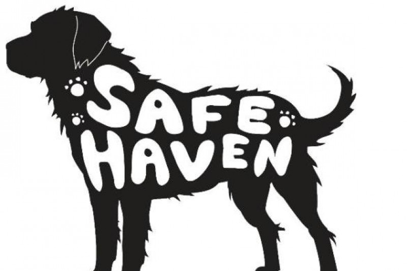 Fundraiser by Tammy Gleason Cotton Safe Haven Dogs Veterinary Care