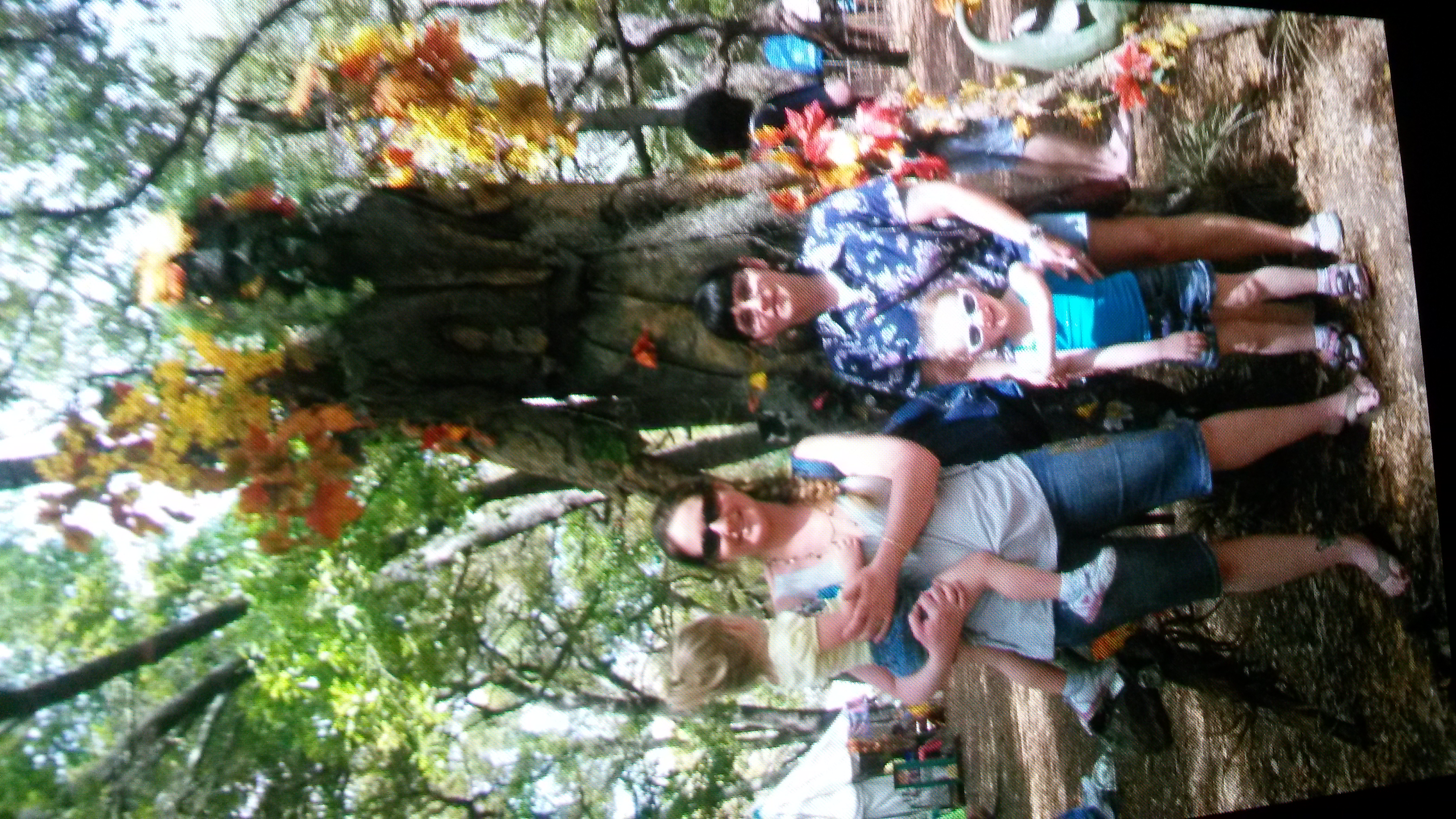 Collins Family photo