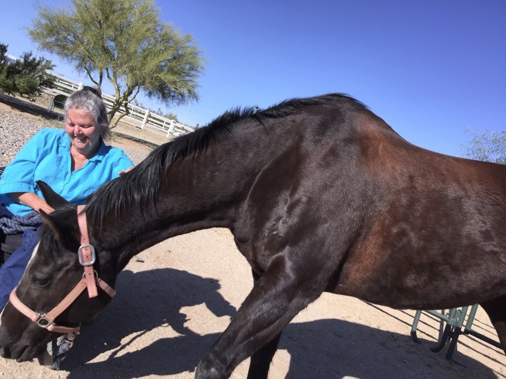 Fundraiser by Deidre Thorburn : Get Kathy on her horse