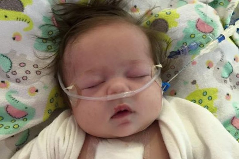 Fundraiser by Sheena Holmes : Willow's fight with HLHS