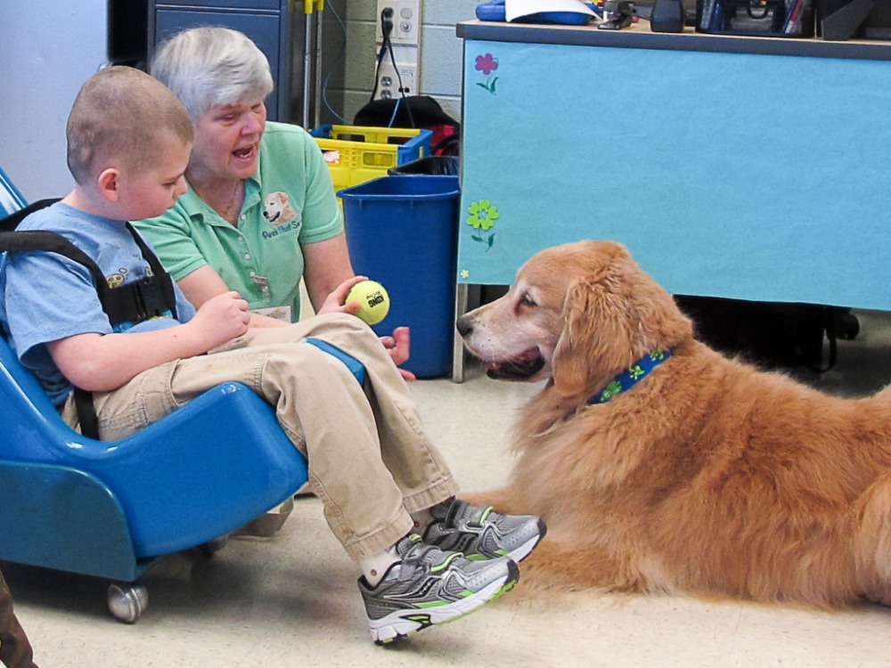 dogs for kids with disabilities