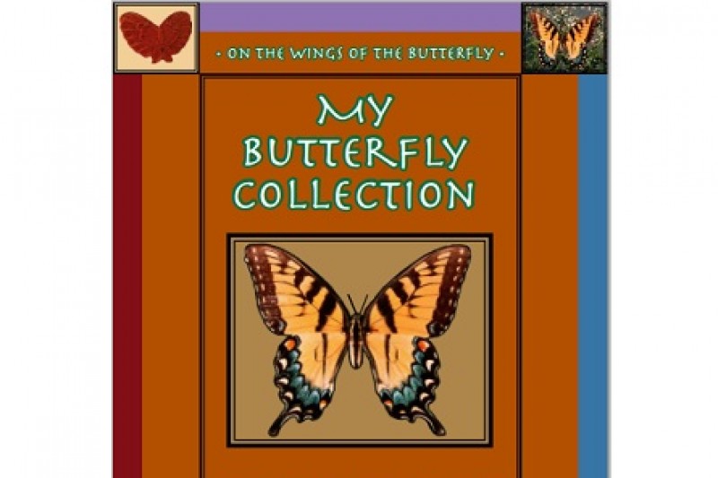 My Butterfly Collection A New Book By Stevanne Auerbach