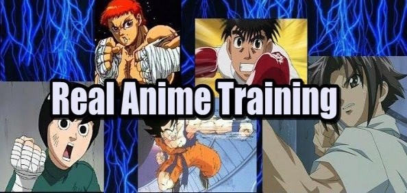 Fundraiser by Stephen Eric Ross : Open a Real Anime Training Gym