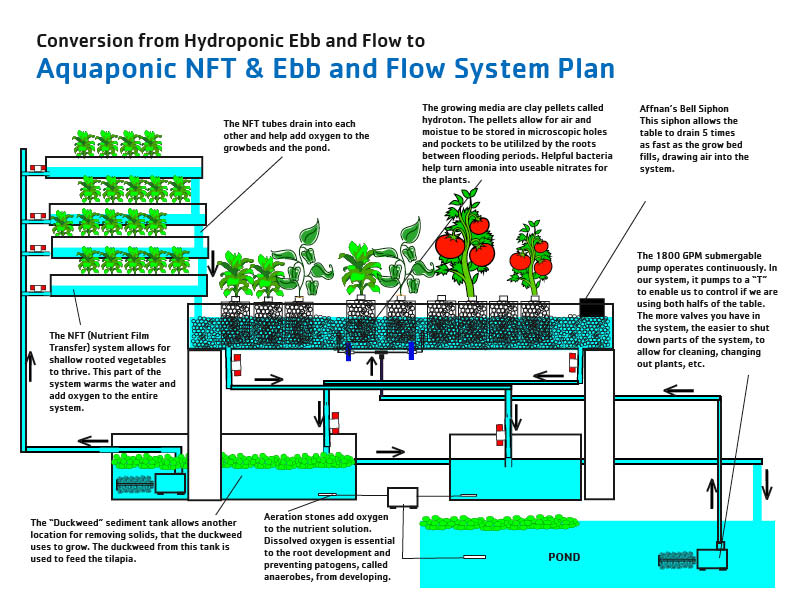 Fundraiser by Kevin Byrne : Byrne Organic Aquaponics Inc.