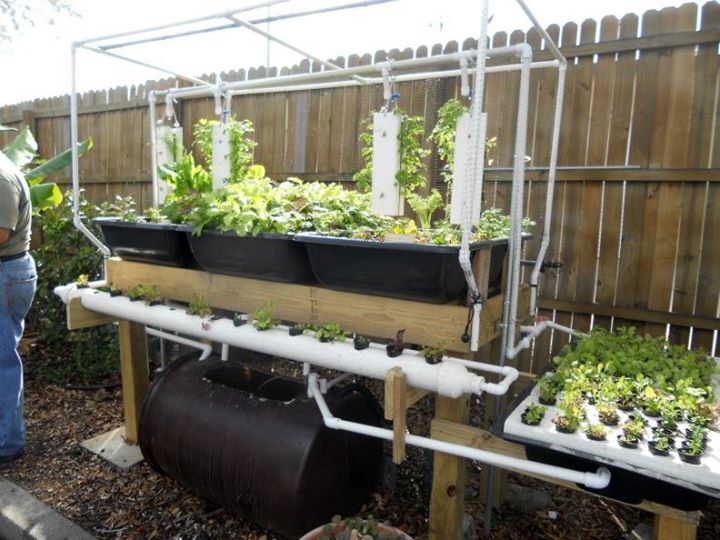 fundraiser by kevin byrne : byrne organic aquaponics inc.