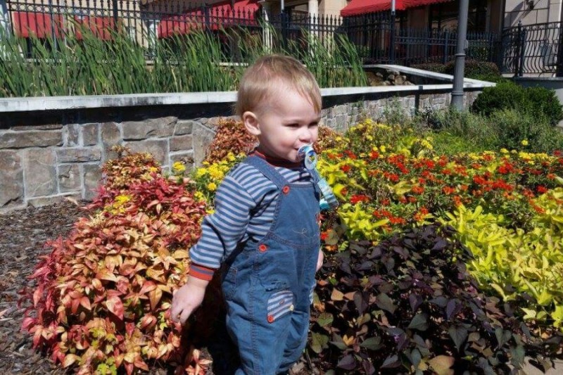 Brain Surgery for Baby Jacob photo