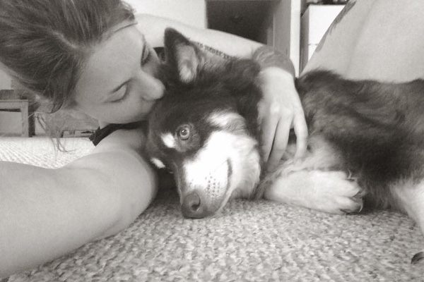 The Riley Gilpin Veterinary Fund photo