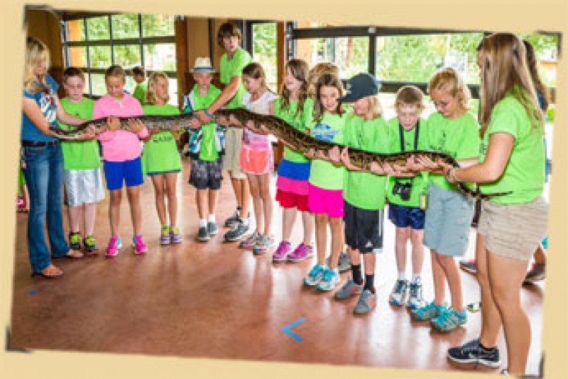 Fundraiser by Thomas Welch Audubon Zoo Summer Camp Scholarship
