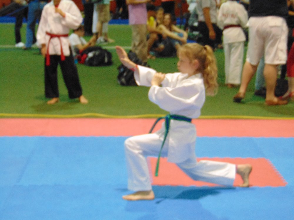 Fundraiser by John Sanders : Elizabeth World Karate Championship