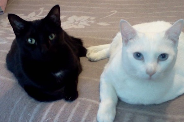 Keep Me In My Apartment   photo