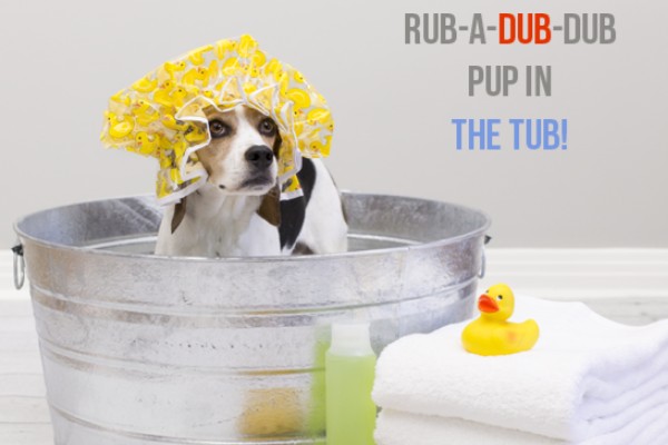 Fundraiser By Lindsay Michelle Rub A Dub Dub We Need A Tub