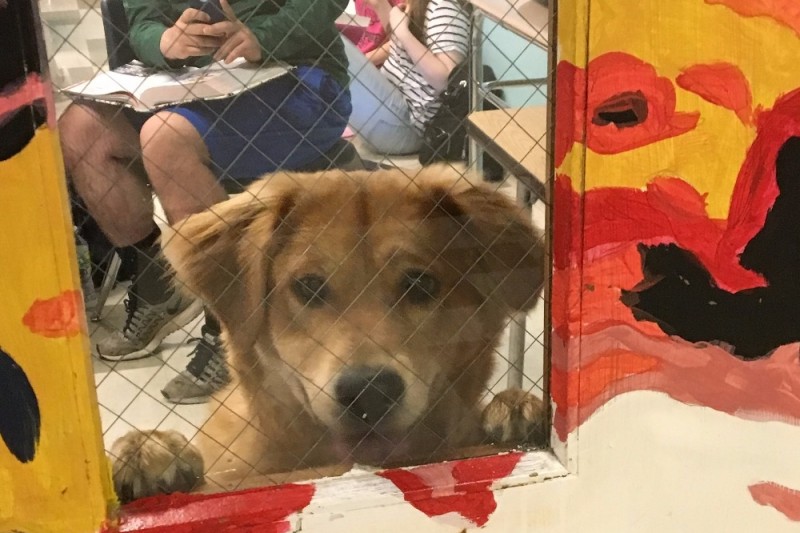 Help Ruby Join VISTA  photo