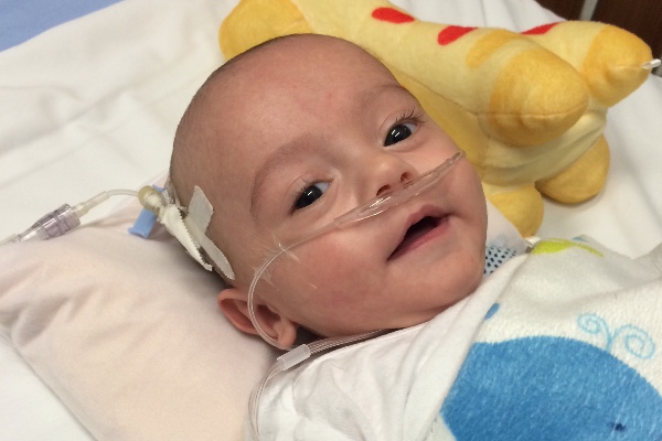 Fundraiser for Lyndsay Perkins by Traci Rizzo : Help Radley Fight