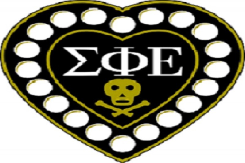 Fundraiser for Sigma Phi Epsilon New York Lambda Chapter by Ray