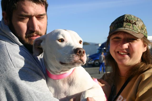 Truckers Adopting Dogs Truckers Adopting Dogs