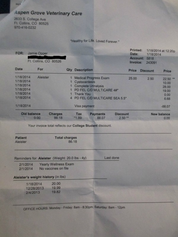 aleister s vet care by jamie kay gofundme aleister s vet care by jamie kay gofundme